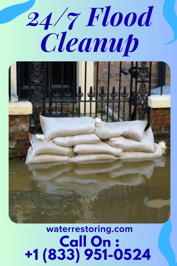 24/7 Flood Cleanup in Walhalla, SC