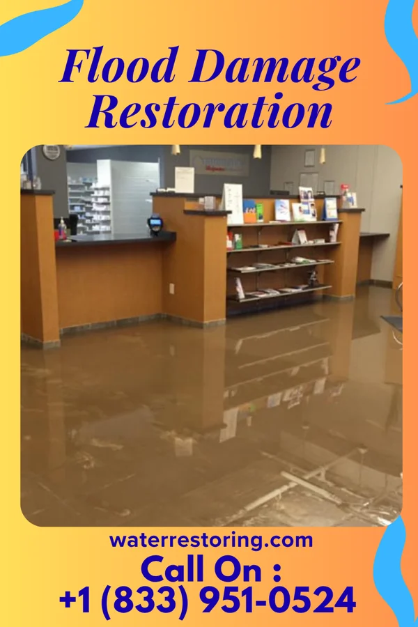Flood Damage Restoration in Walhalla, SC