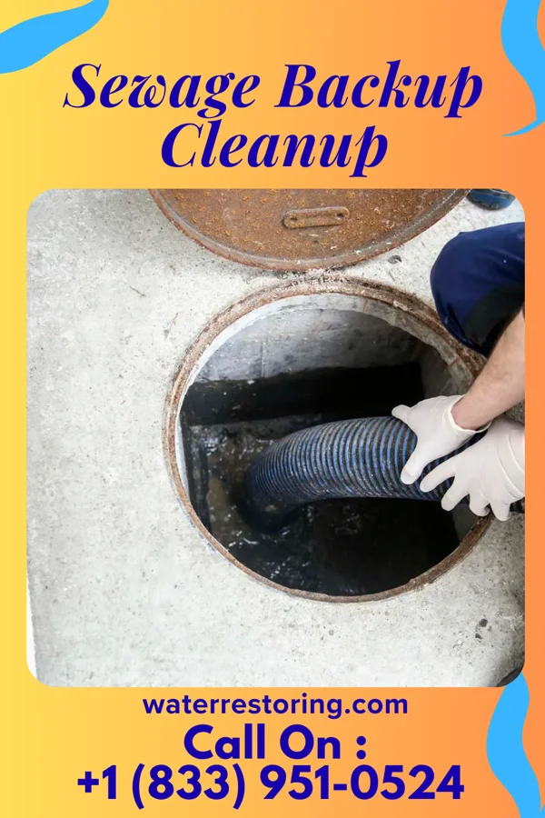 Sewage Backup Cleanup in Walhalla, SC