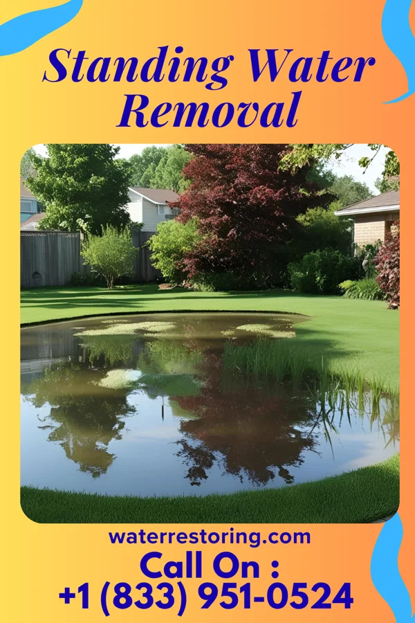 Standing Water Removal in Walhalla, SC